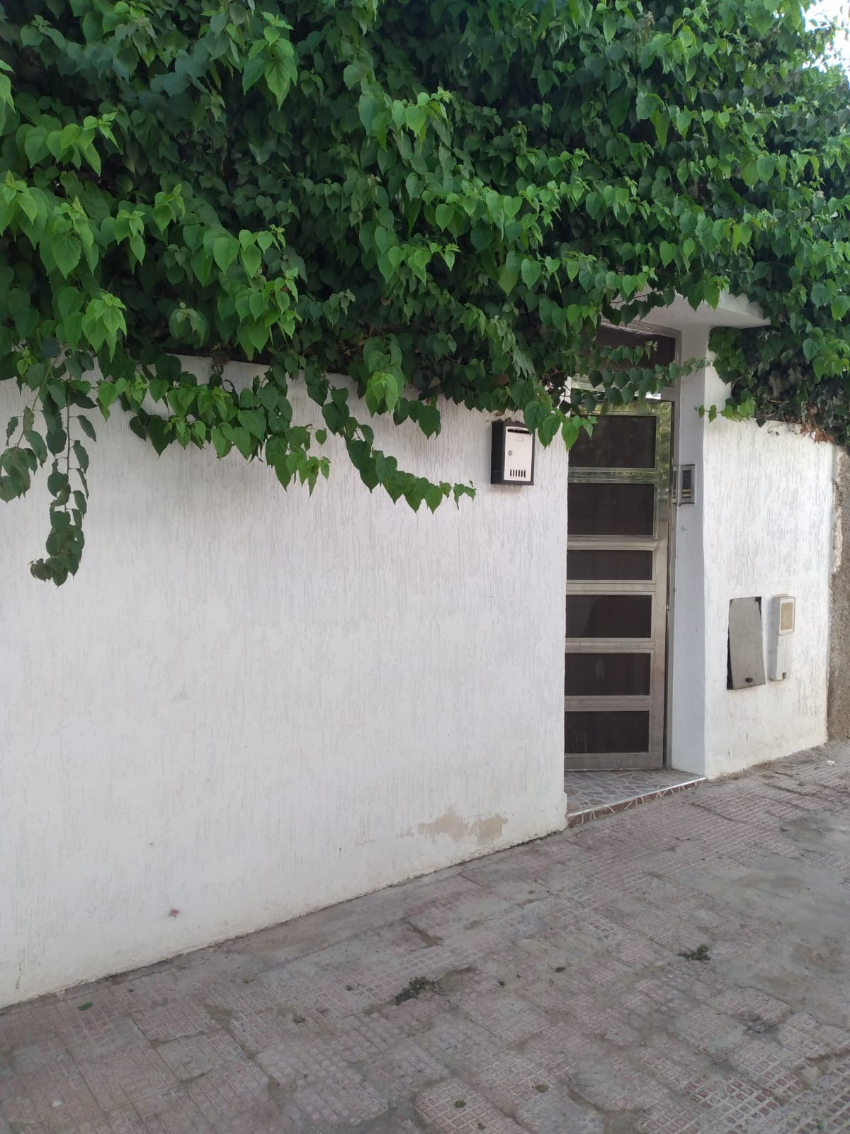 home-1